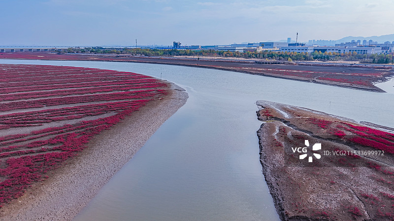 深秋的青岛洋河入海口，碱蓬草如烈焰般铺展，海滩映衬着碧波荡漾，水鸟在这里栖息，形成了这幅海岸画卷。图片素材