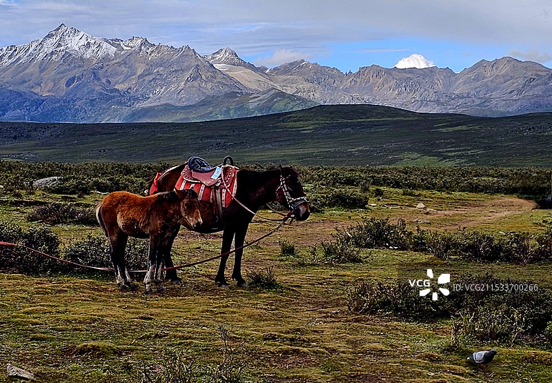 鱼子西风光：走进鱼子西，感受大自然的壮美与神秘，让心灵得到彻底的放松。图片素材