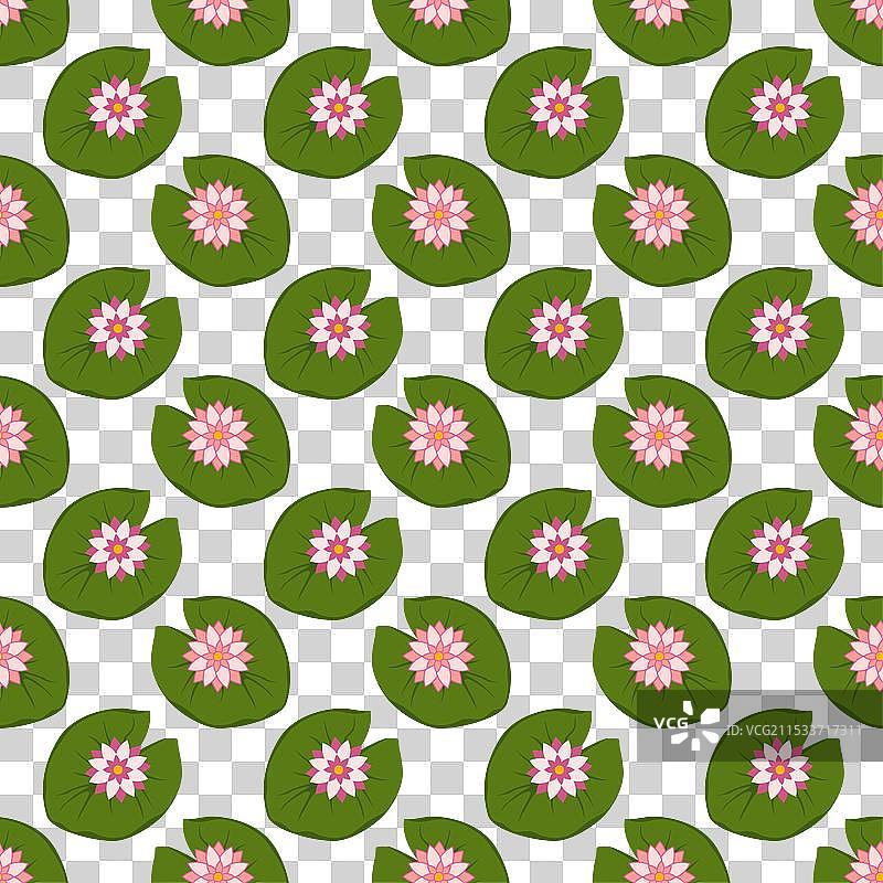 带有睡莲的花卉无缝图案图片素材