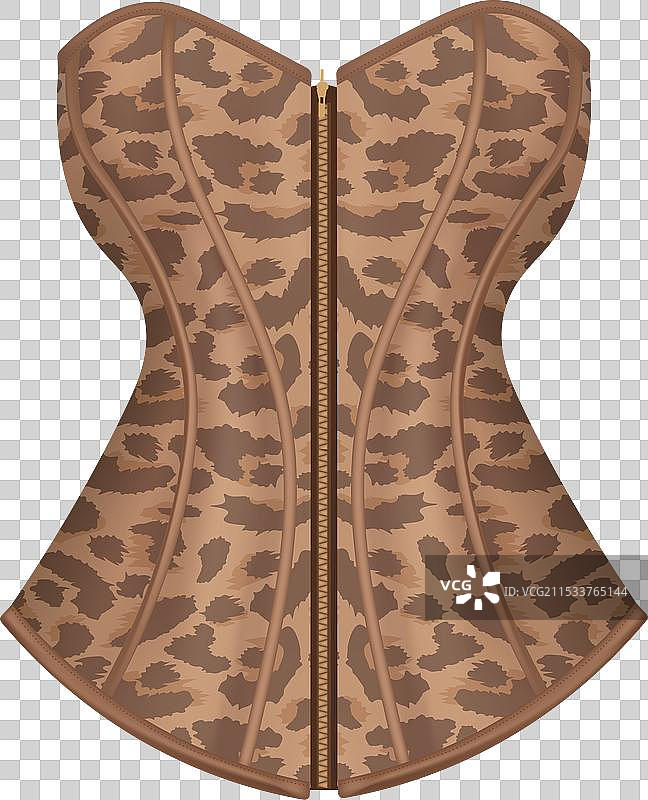 棕色女性穿着豹纹紧身胸衣图片素材