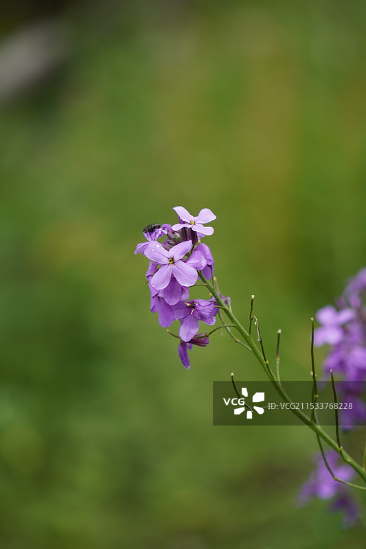 生活片刻图片素材