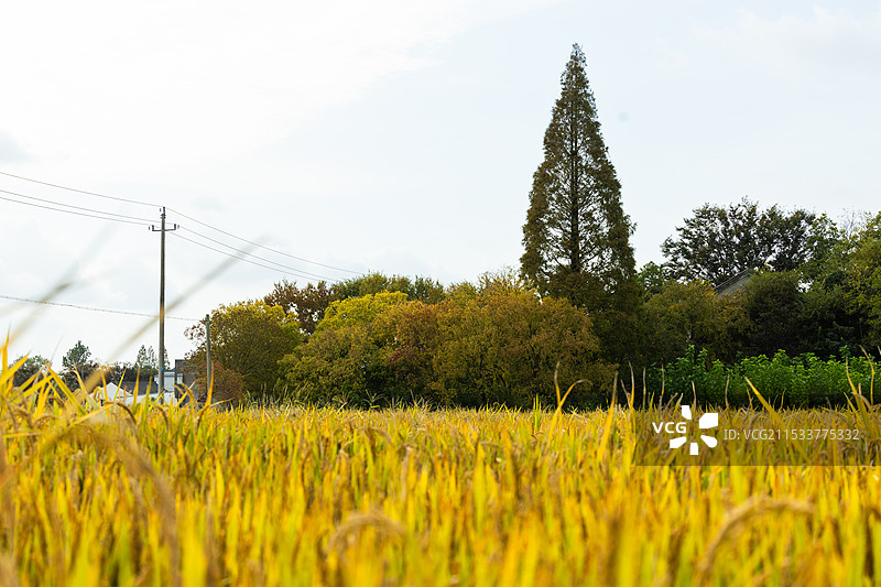 去海宁路仲老街的路边图片素材