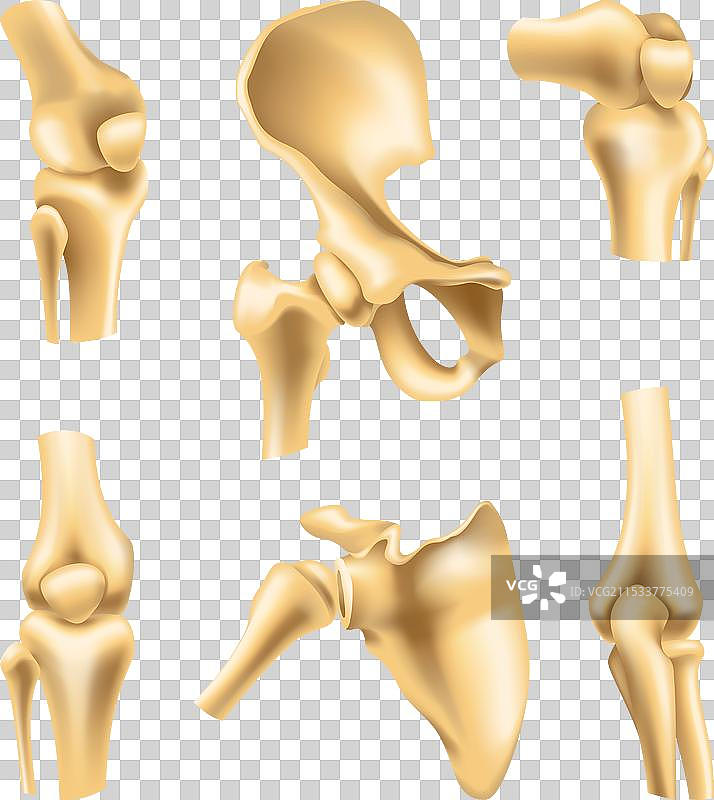 人类关节图标用于骨科和图片素材