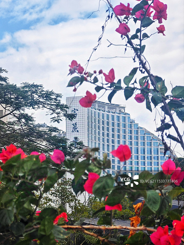 艳花眏靓楼图片素材