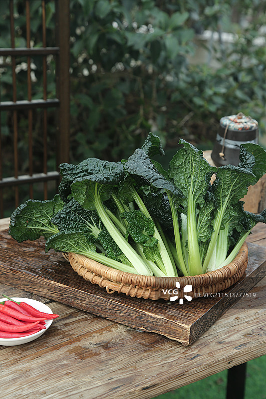 泡泡青图片素材