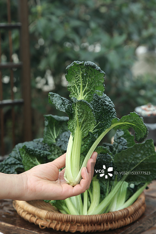 泡泡青图片素材