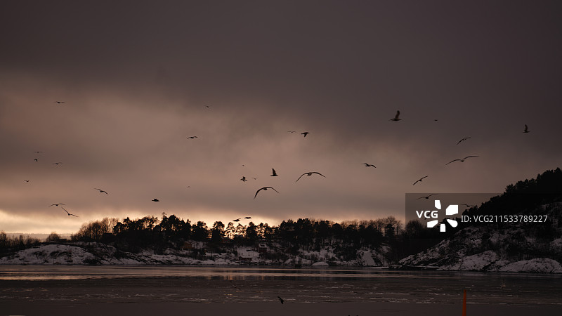 冬天挪威奥斯陆港口雪景图片素材