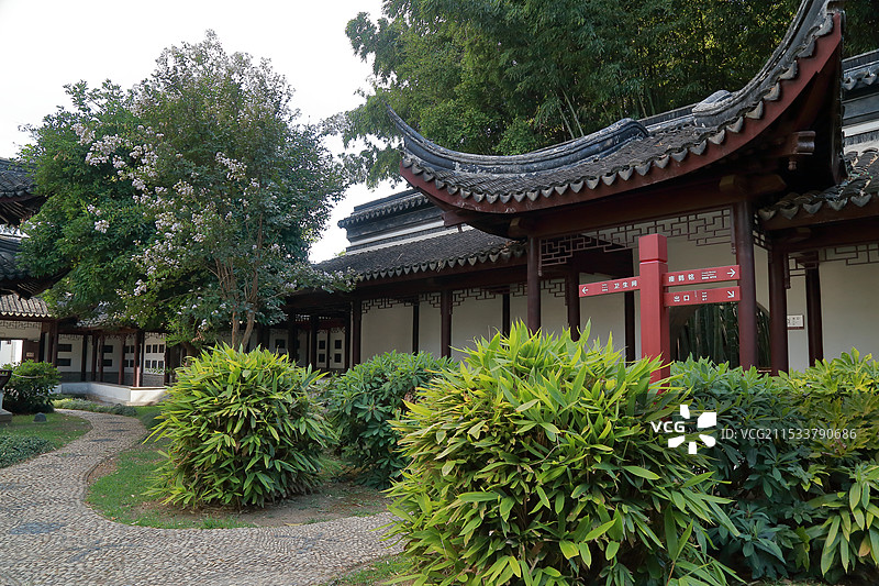 镇江焦山碑林初秋风景（紫薇花开）图片素材