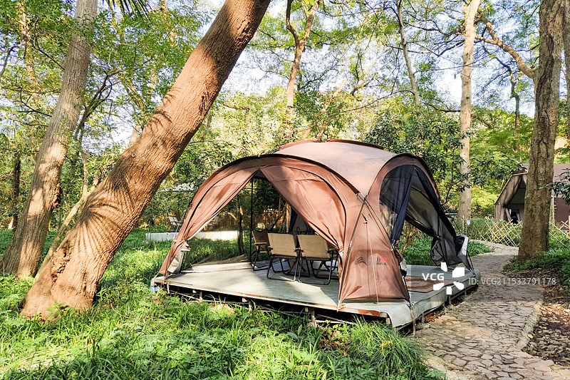 树林里的露营帐篷图片素材