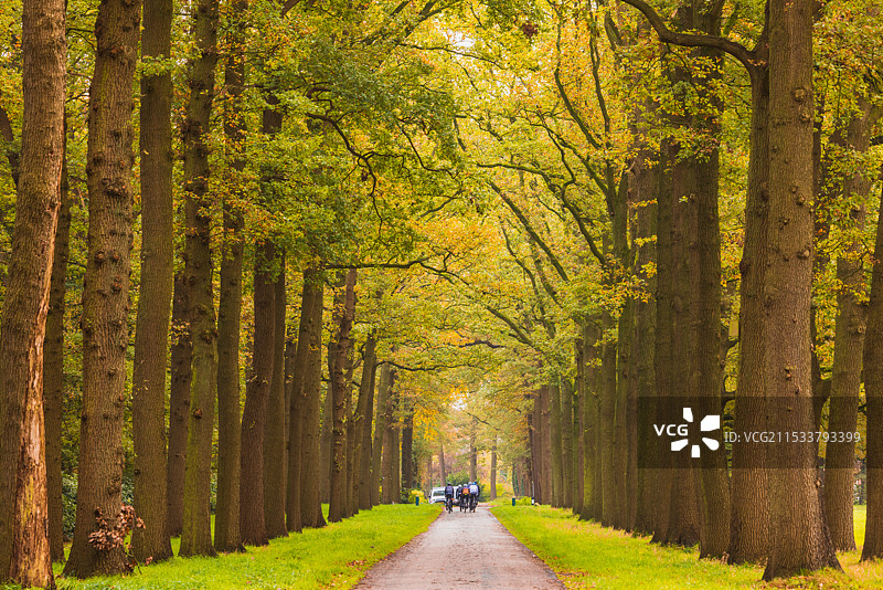 秋天森林公园里的人们图片素材