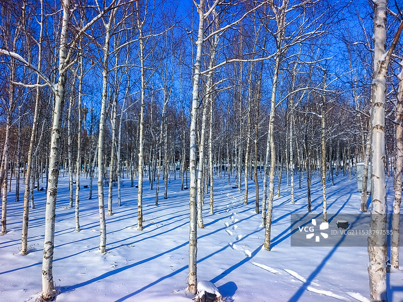 冬季雪景图片素材