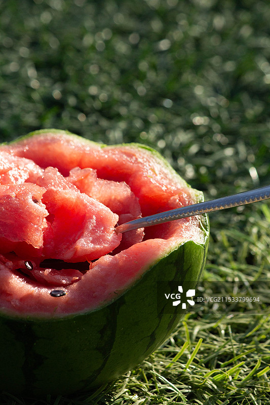 夏天湿西瓜特写图片素材
