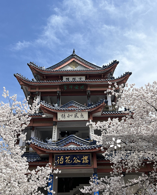 无锡鼋头渚赏樱楼图片素材