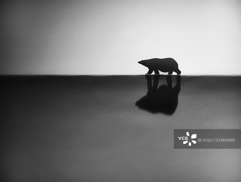 北极熊图片素材