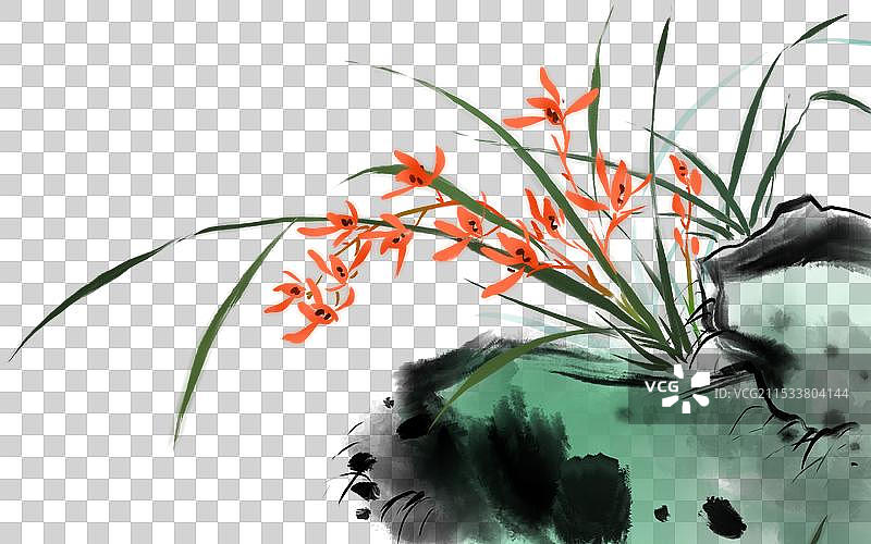 黑色背景下红色开花植物的特写镜头图片素材