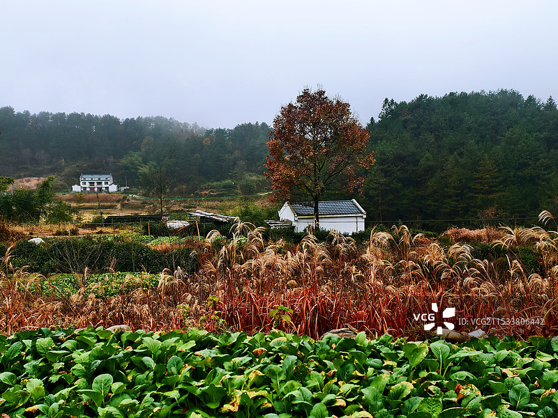 乡村秋色图片素材