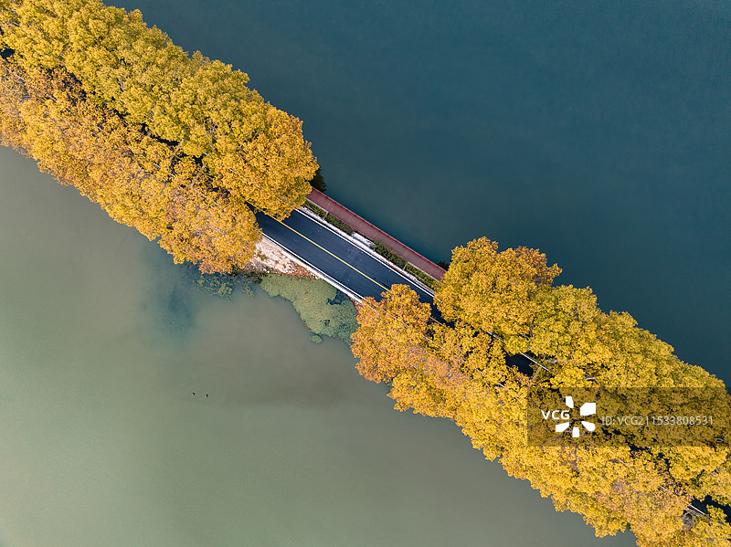 武汉东湖宾馆天鹅湖秋色图片素材