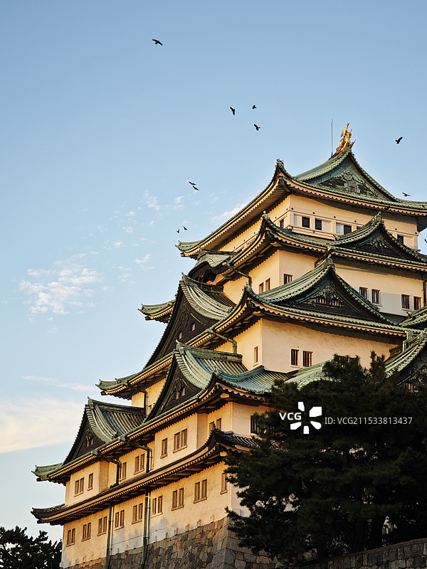 夕阳下金灿灿的名古屋城图片素材