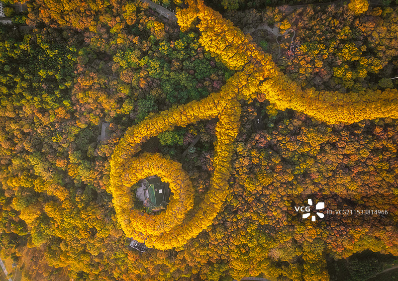 爱的项链图片素材
