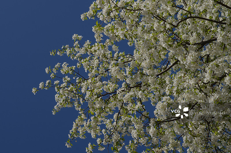 我与尼康与承德图片素材