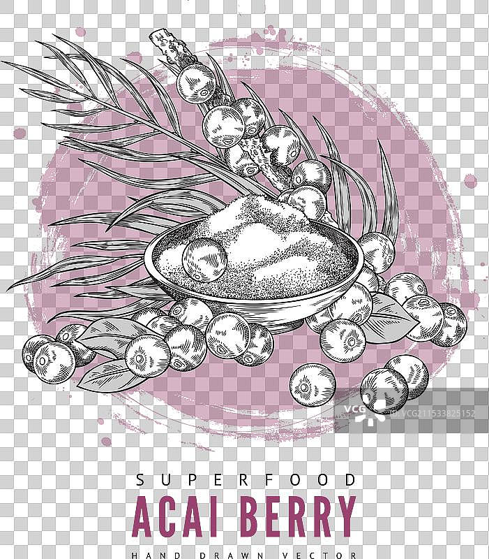 巴西莓碗和标签设计上的叶子图片素材