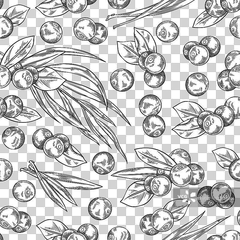 无缝图案，包含巴西莓和叶子图片素材