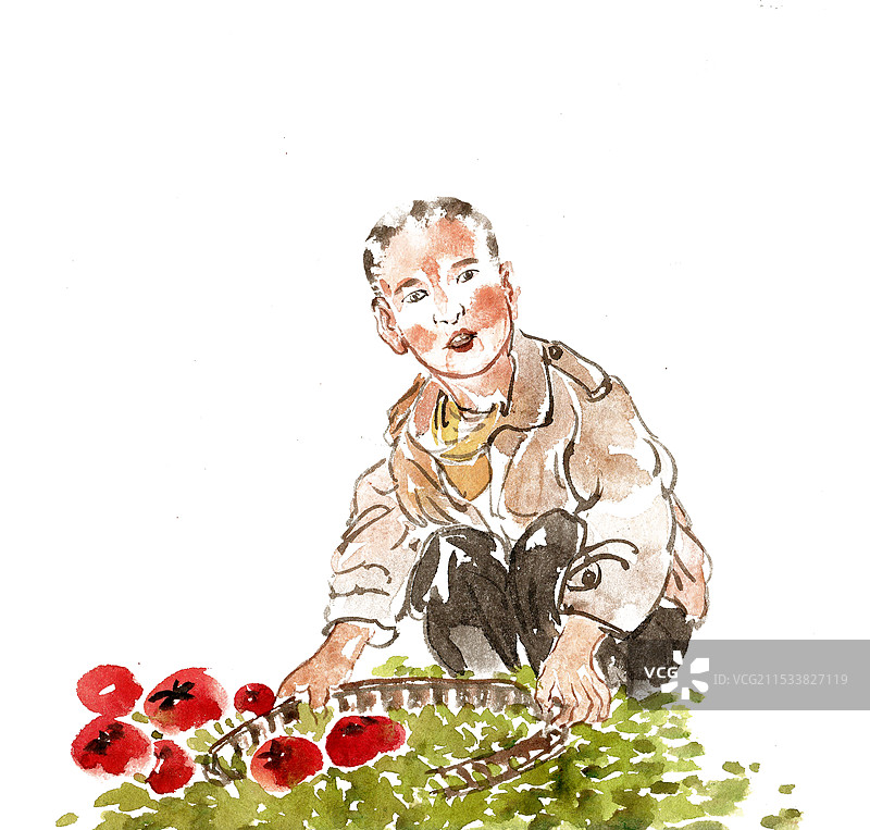 捡柿子的儿童图片素材