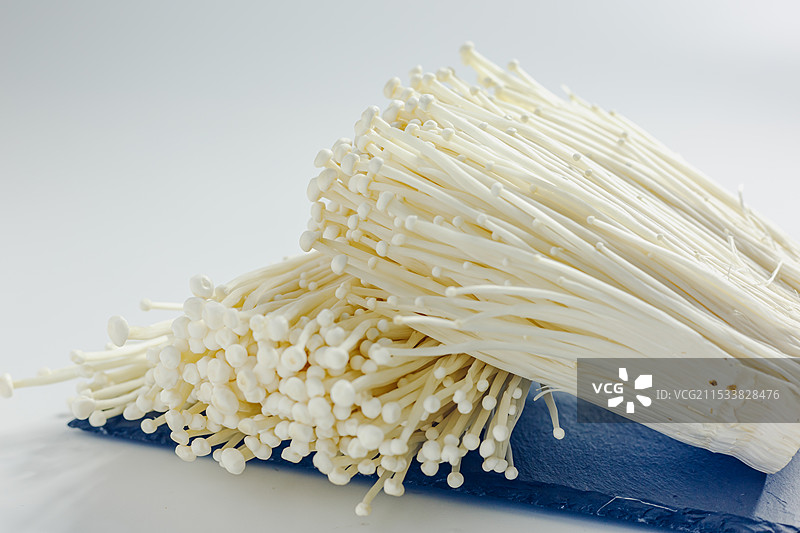 金针蘑菇 美食材 白色底背景 免抠静物特写图片素材