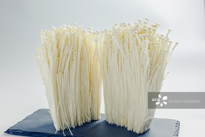 金针蘑菇 美食材 白色底背景 免抠静物特写图片素材