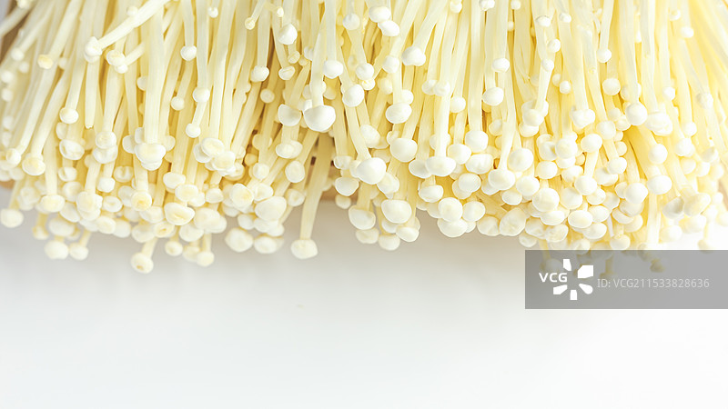 金针蘑菇 美食材 白色底背景 免抠静物特写图片素材