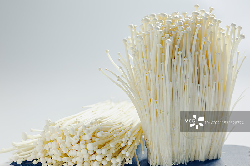 金针蘑菇 美食材 白色底背景 免抠静物特写图片素材