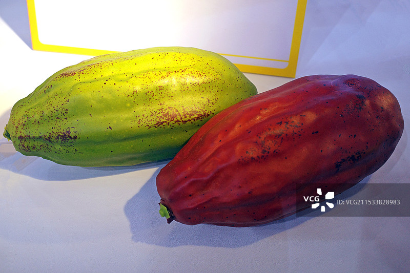 可可果实图片素材