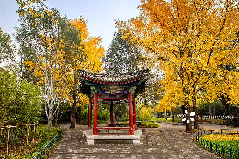 北京秋景图片素材