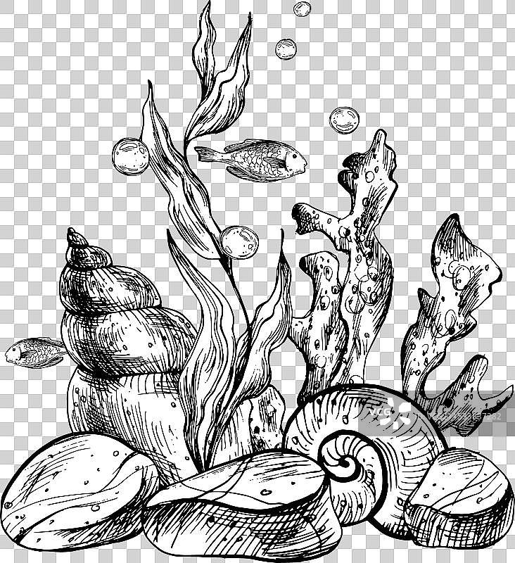 水下世界的剪贴画，包含海洋动物和鱼类图片素材