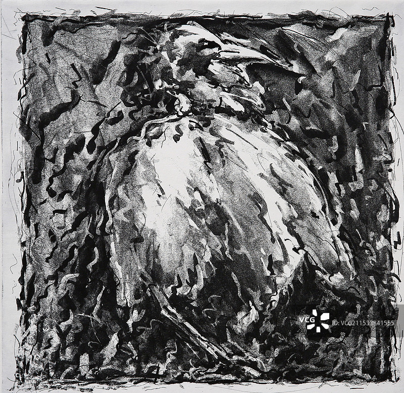 《释鸟集 Bird-freeing Series》腐蚀铜版图片素材