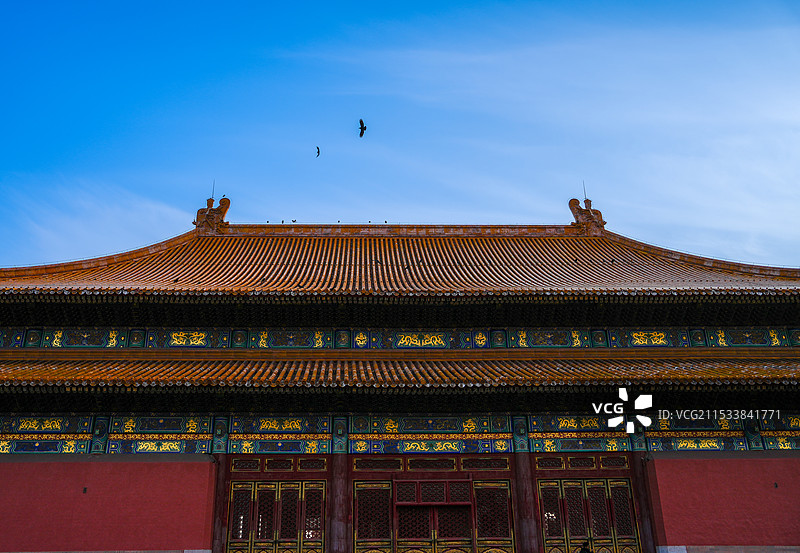 脊兽和它的朋友图片素材