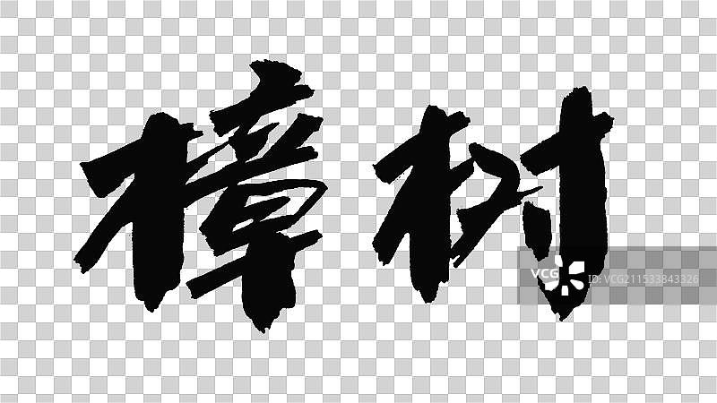 中国手写毛笔字体，樟树图片素材