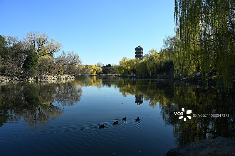 北京大学随拍图片素材