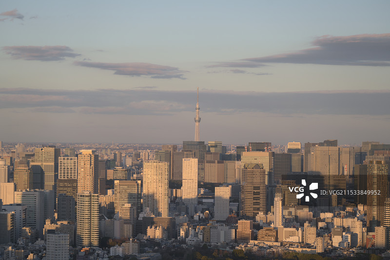 东京都城市风光图片素材