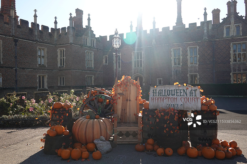 万圣节图片素材