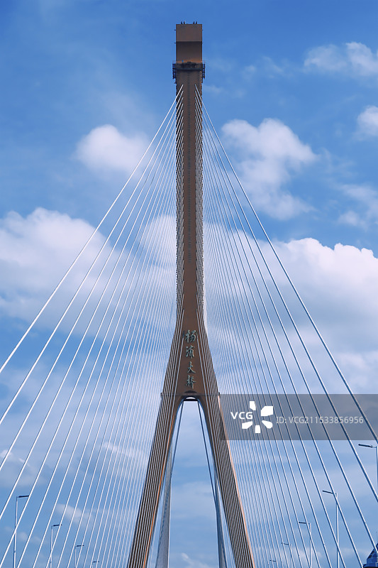 杨浦大桥图片素材