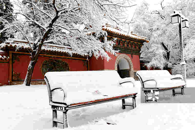 雪后的北陵图片素材