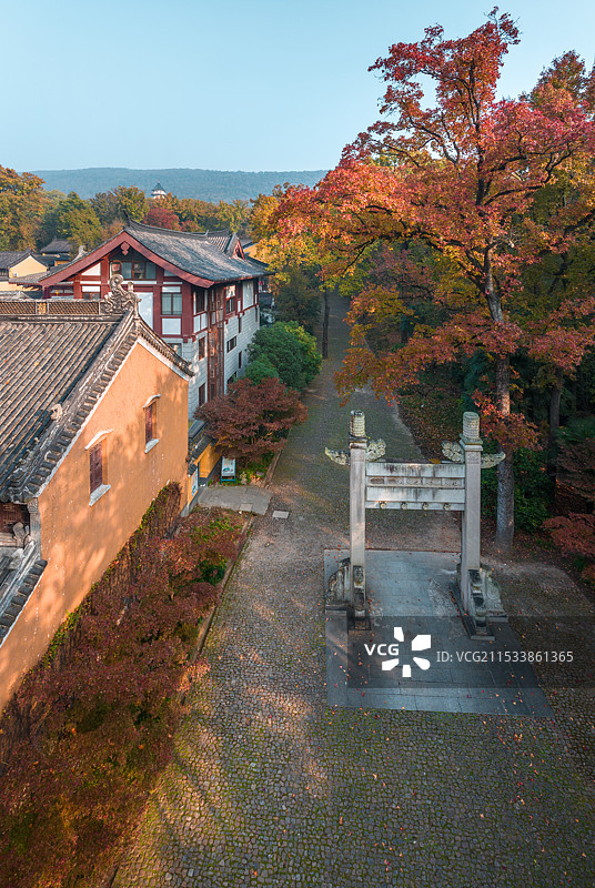 灵谷深松图片素材