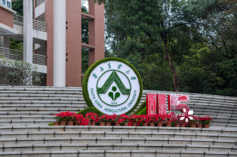 华南农业大学115周年标志图片素材
