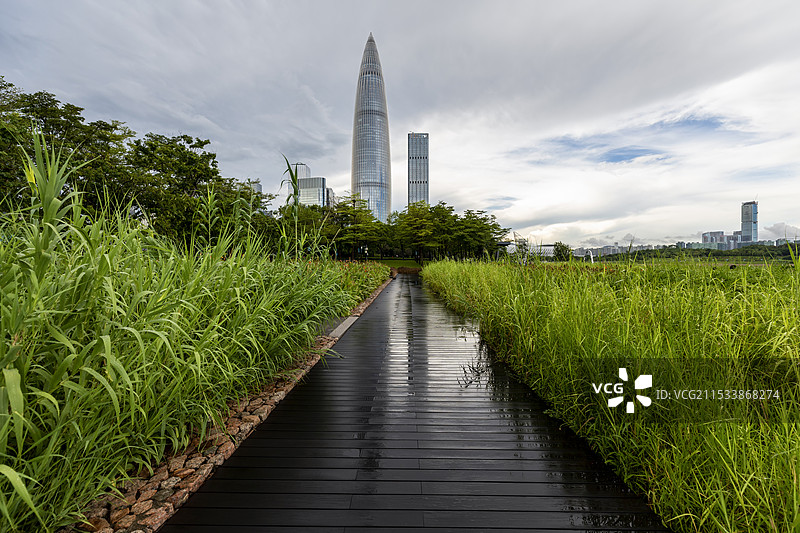 雨后春笋大厦图片素材