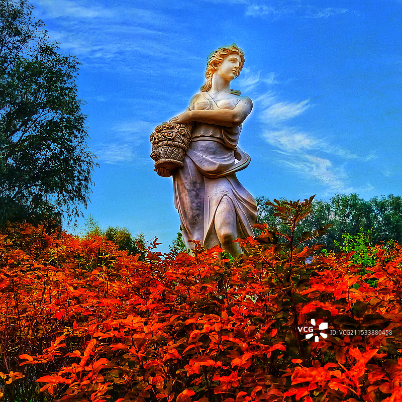 葡萄女特写镜头图片素材