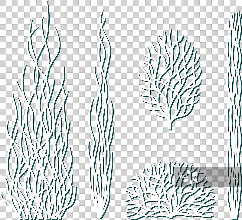 海藻套装图片素材