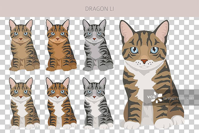 中国龙李猫剪贴画全毛色套装图片素材