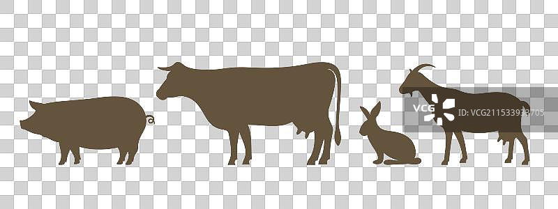 农场动物图片素材