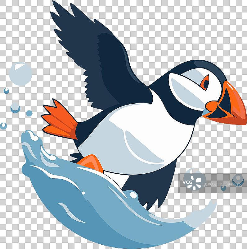 卡通风格的海雀在水中飞翔图片素材